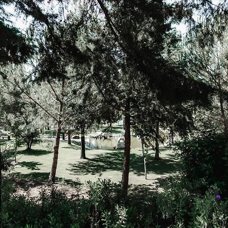 Quinta Do Cerrado Setubal ξενώνας Εξωτερικό φωτογραφία