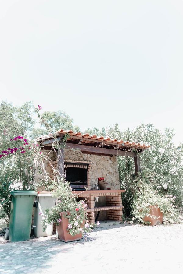 Quinta Do Cerrado Setubal ξενώνας Εξωτερικό φωτογραφία
