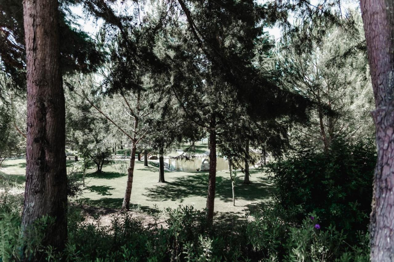 Quinta Do Cerrado Setubal ξενώνας Εξωτερικό φωτογραφία